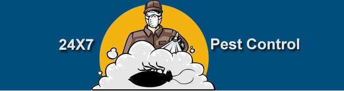 24X7 Pest Control Delhi